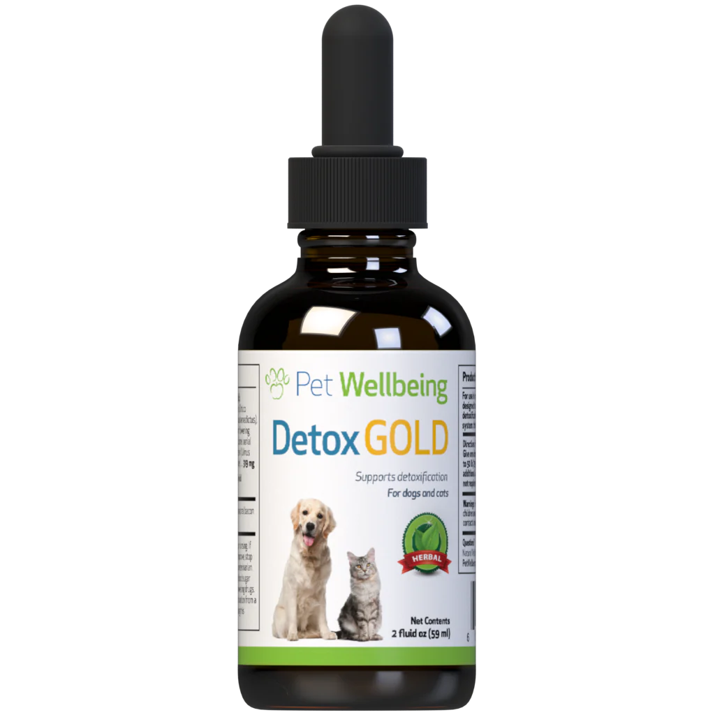 Detox (globale)
