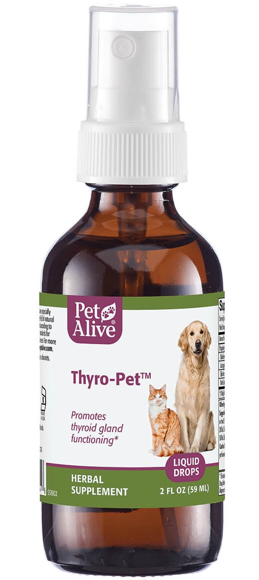 Thyroid (hypo)